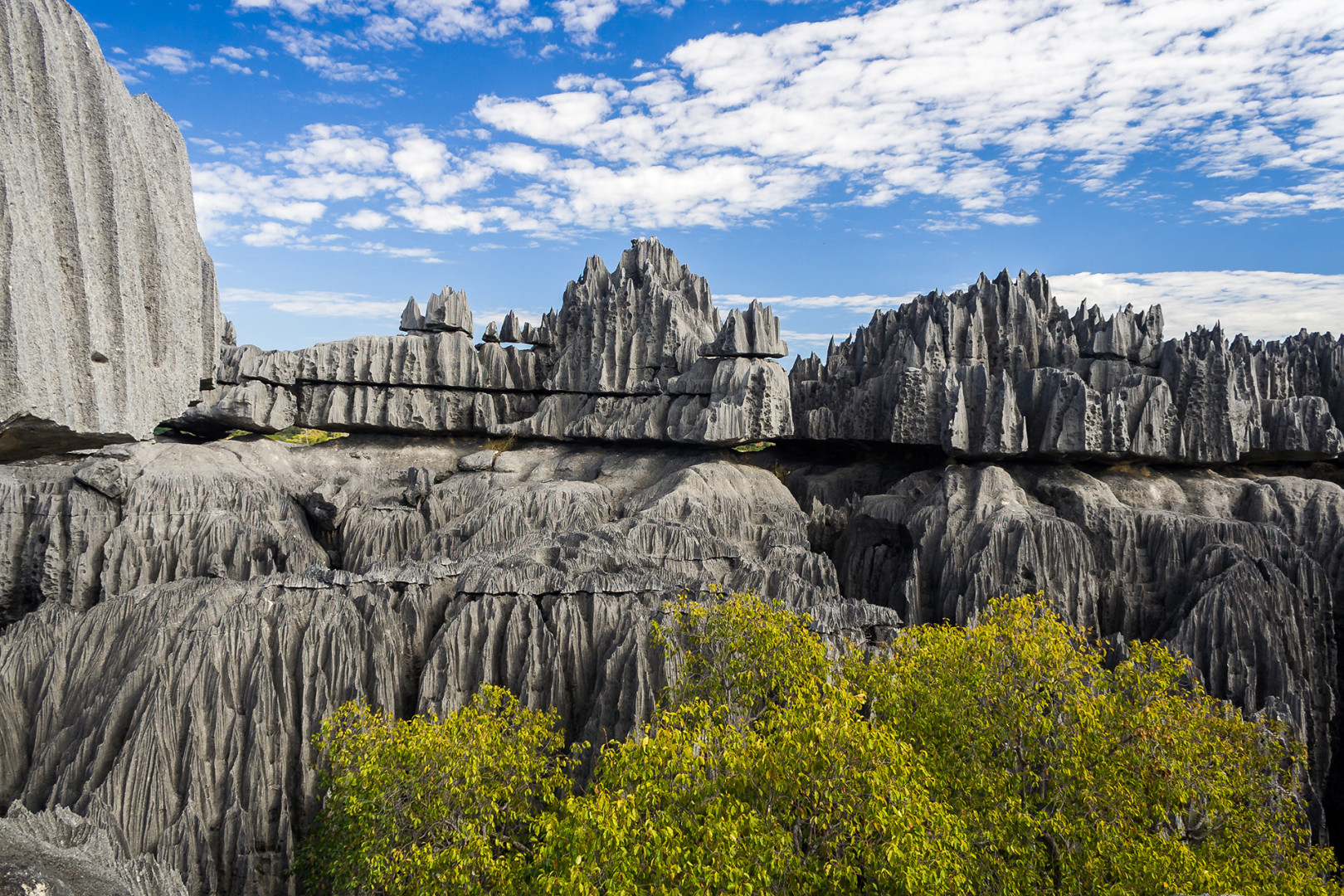 Labyrinth of Stone