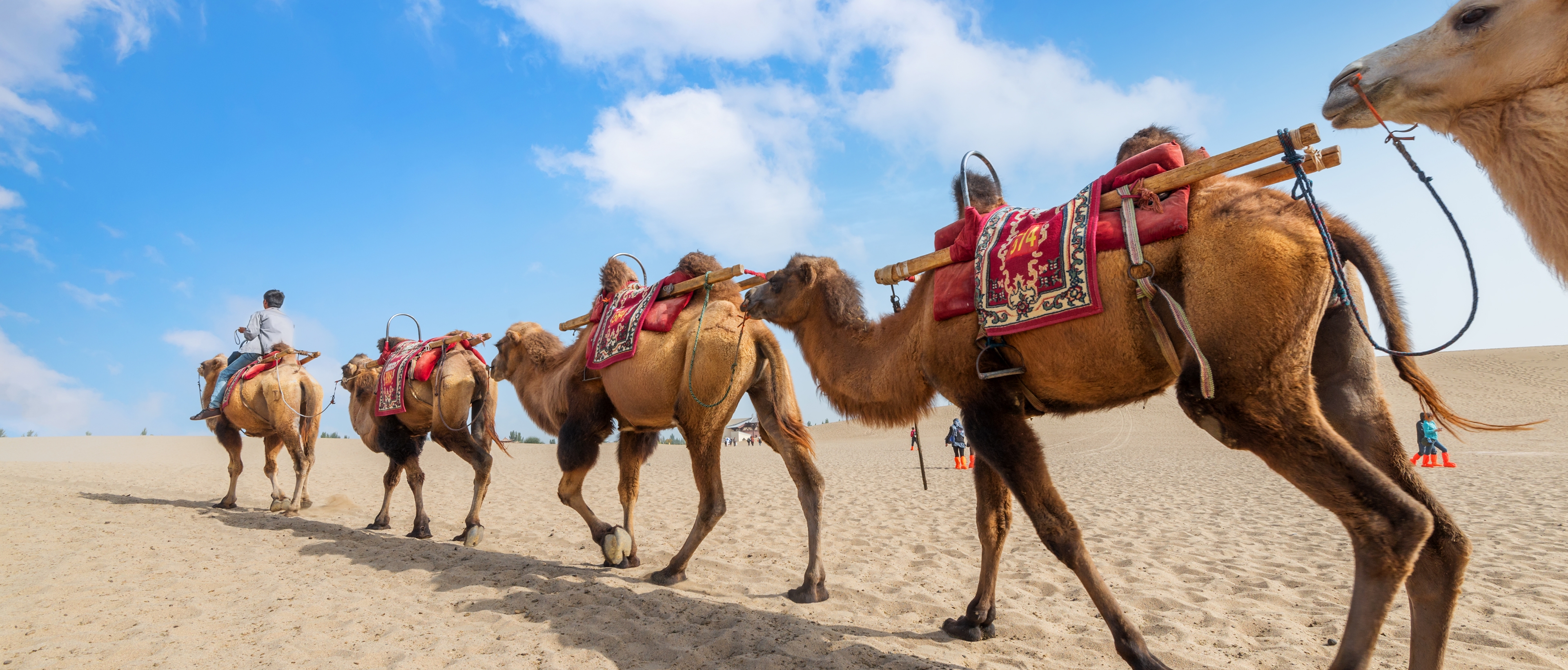 Travel on the Belt and Road: Top Destinations, Must-try Experiences and Visa Guides
